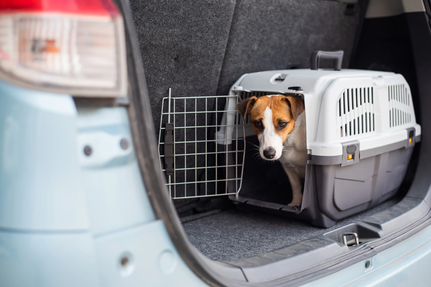 Dodge Durango Dog Carrier Car Seat for Tenterfield Terrier