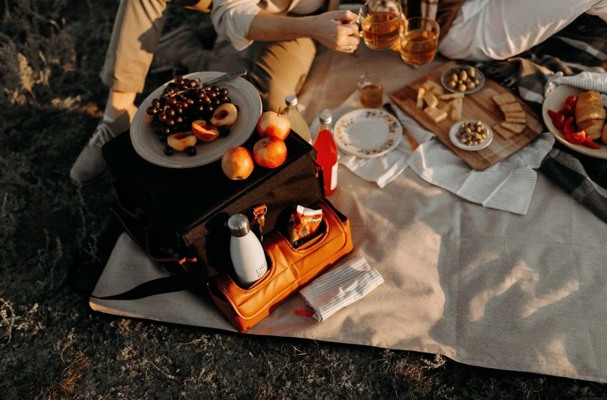 washable picnic blanket