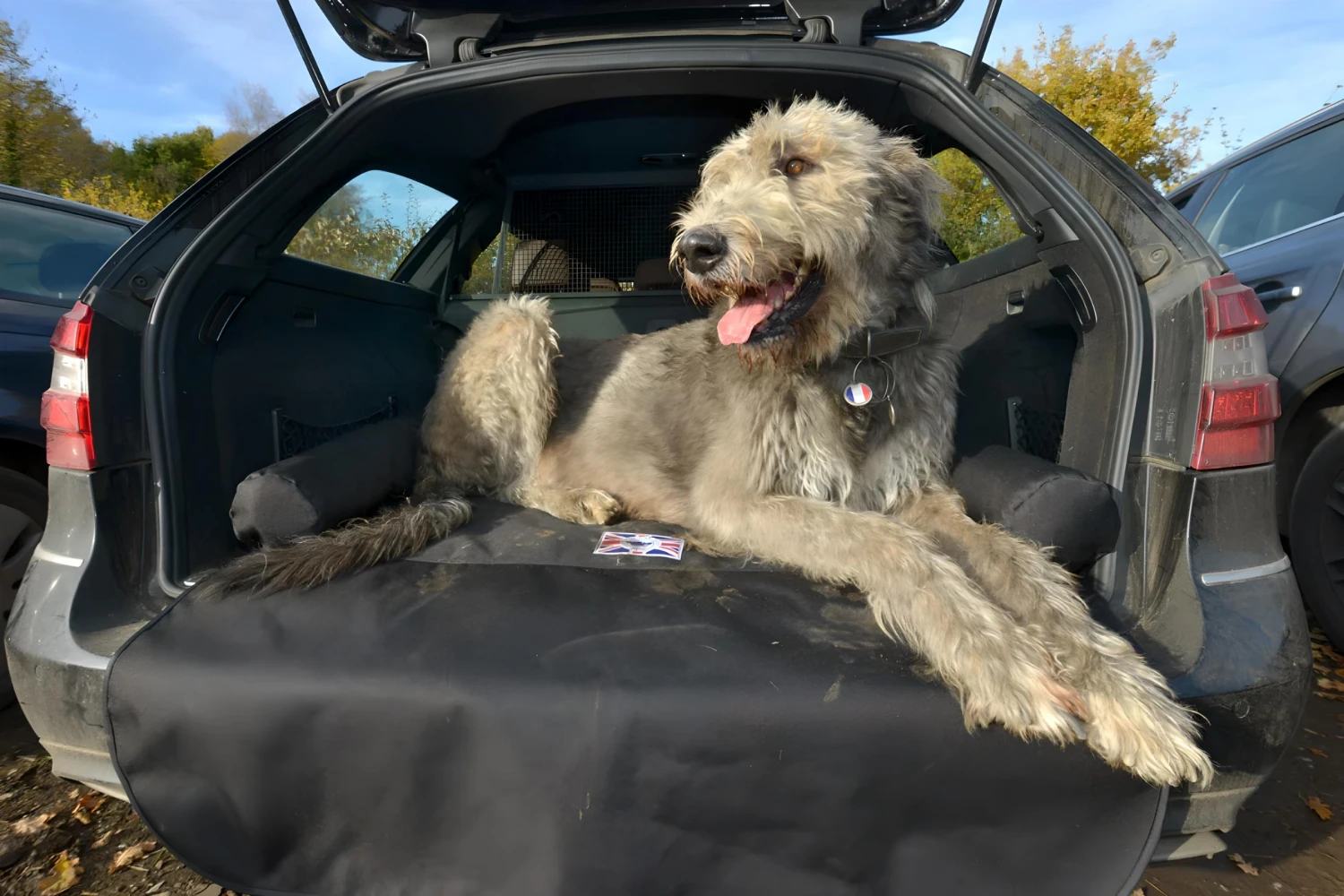 Toyota 4Runner Dog Safety Belt for Irish Wolfhounds