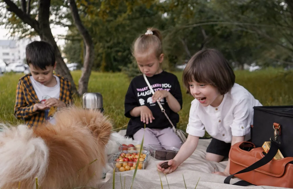 small waterproof picnic blanket